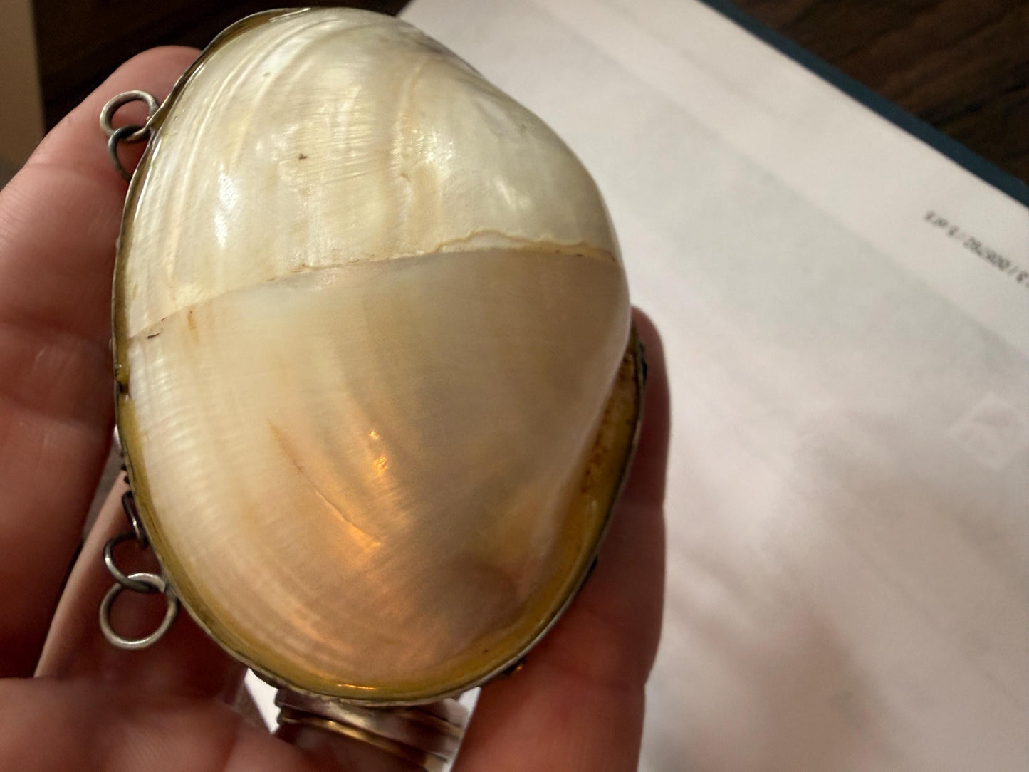 Antique Mother of Pearl Shell Scent Flask Necklace, Silver Tone Wirework Chatelaine Pendant, Victorian Curiosity