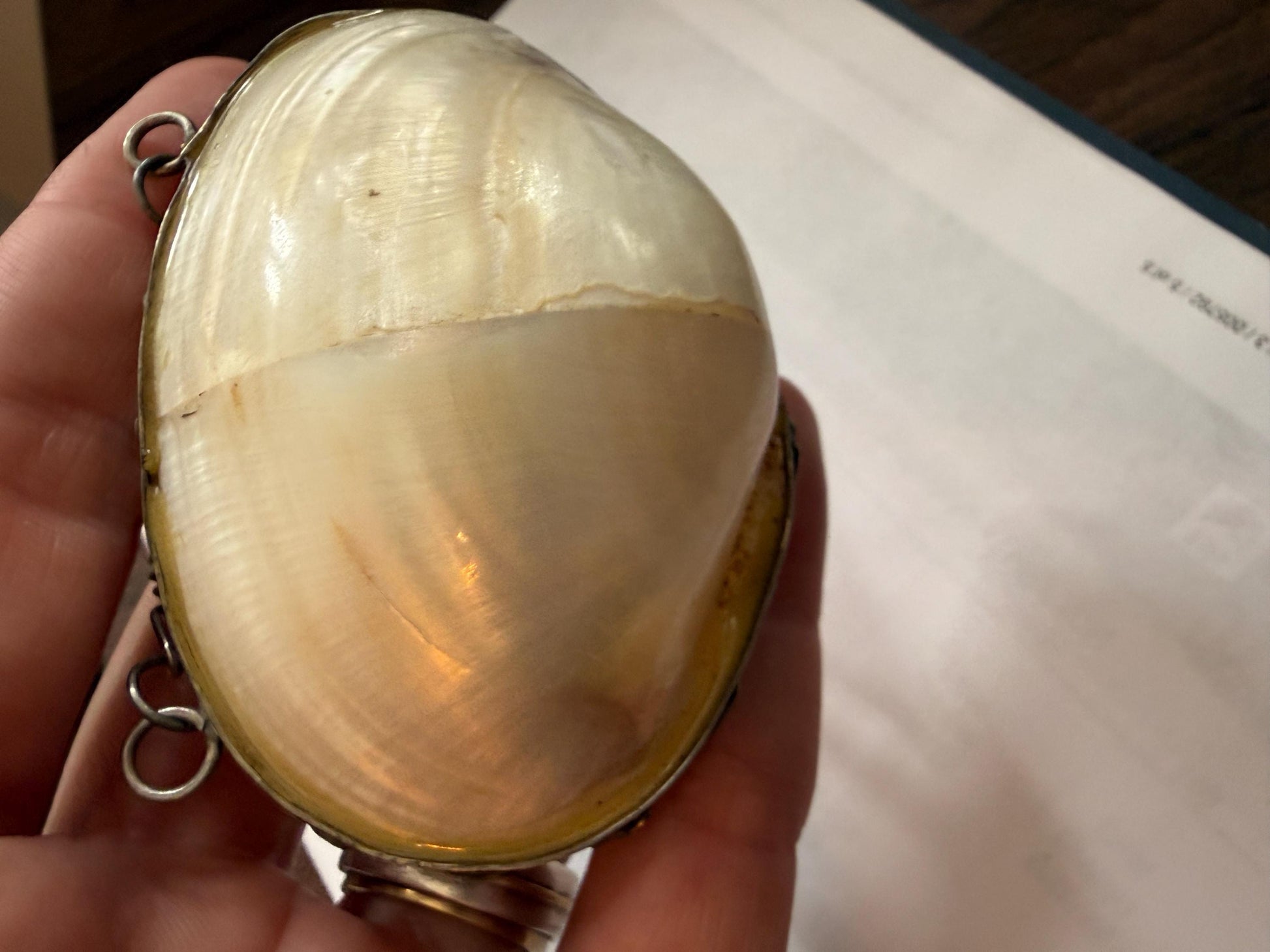 Antique Mother of Pearl Shell Scent Flask Necklace, Silver Tone Wirework Chatelaine Pendant, Victorian Curiosity