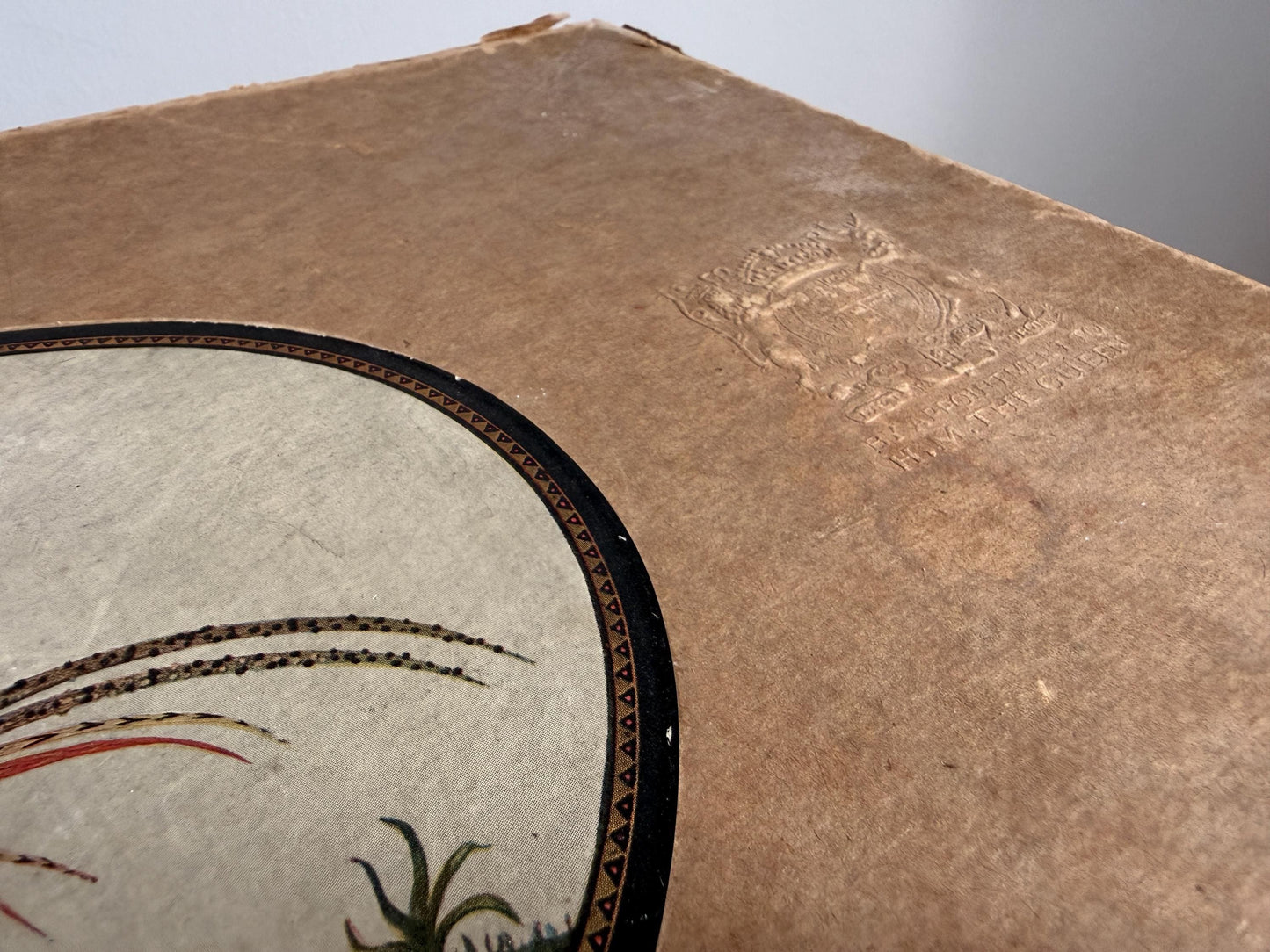 Vintage Debenham & Freebody Presentation Box | Royal Warrant Retail Ephemera